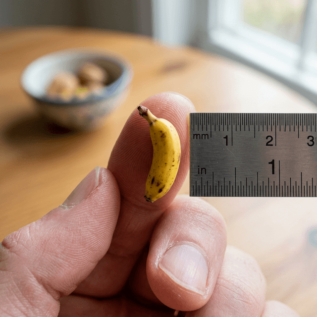 Decoding My Consumer DNA: Wants, Needs, and the Buyer’s Journey